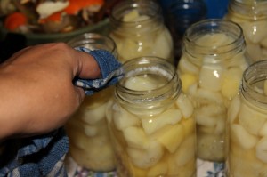 Step by Step Guide to Using a Pressure Canner For the First time Canning Potatoes