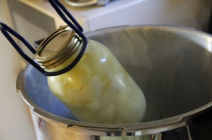 Step by Step Guide to Using a Pressure Canner For the First time Canning Potatoes