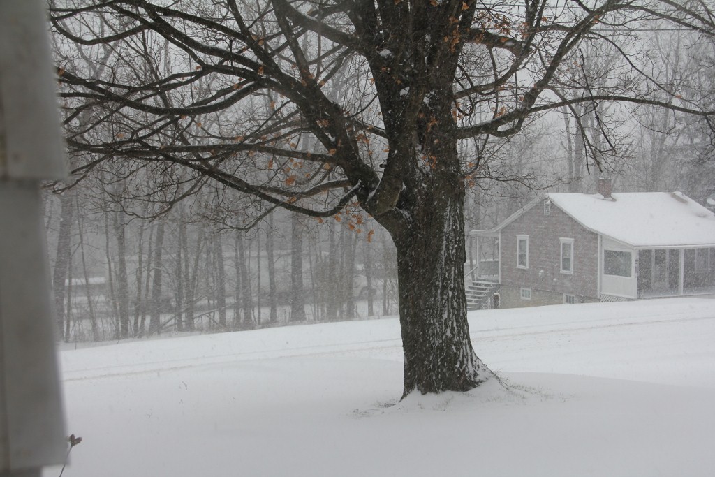 Homestead Updates - Old Fashioned Families