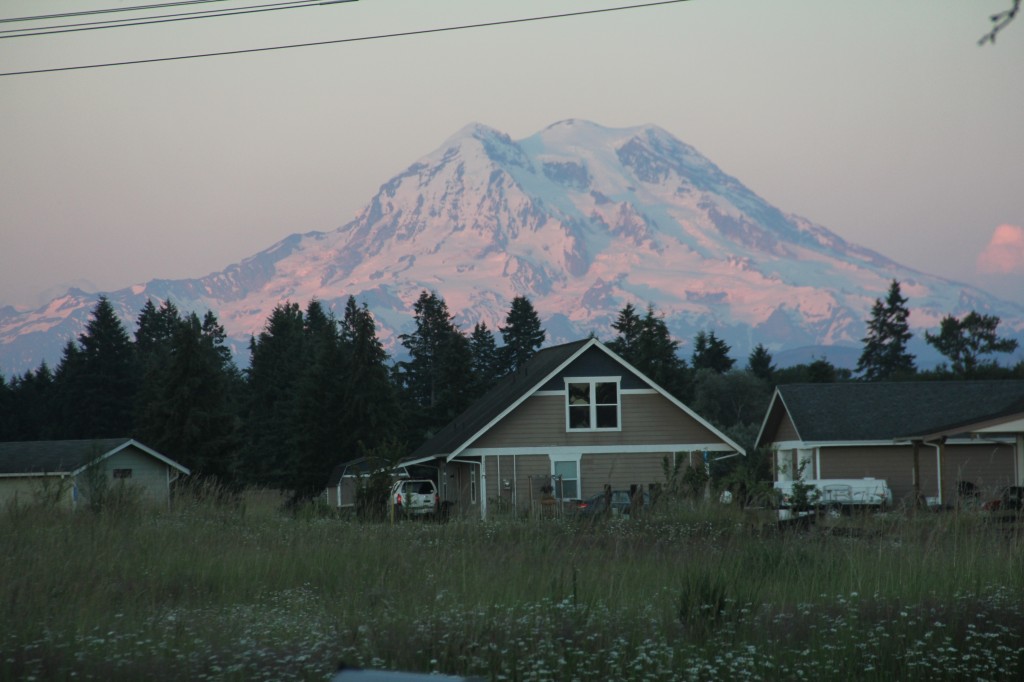 View From My Front Yard
