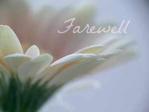 farewell_flower